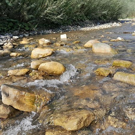 Мріяти Daire Krivorovnya Dış mekan fotoğraf