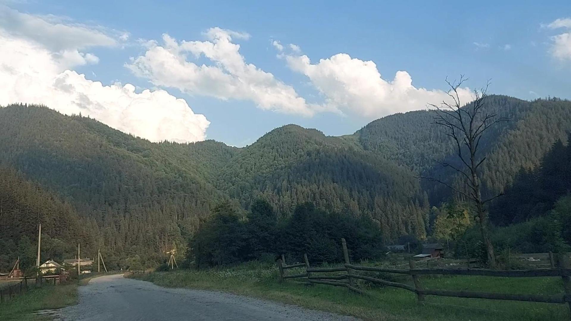 Мріяти Daire Krivorovnya Dış mekan fotoğraf