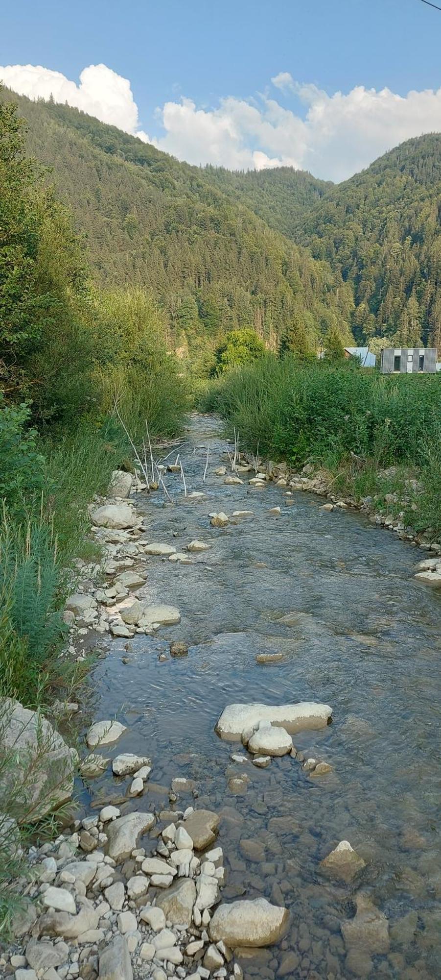 Мріяти Daire Krivorovnya Dış mekan fotoğraf