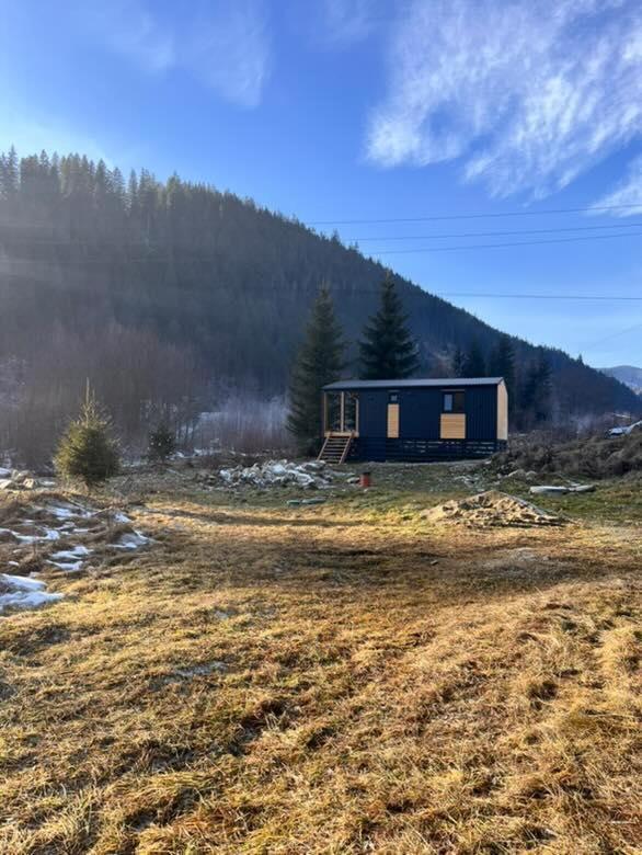 Мріяти Daire Krivorovnya Dış mekan fotoğraf