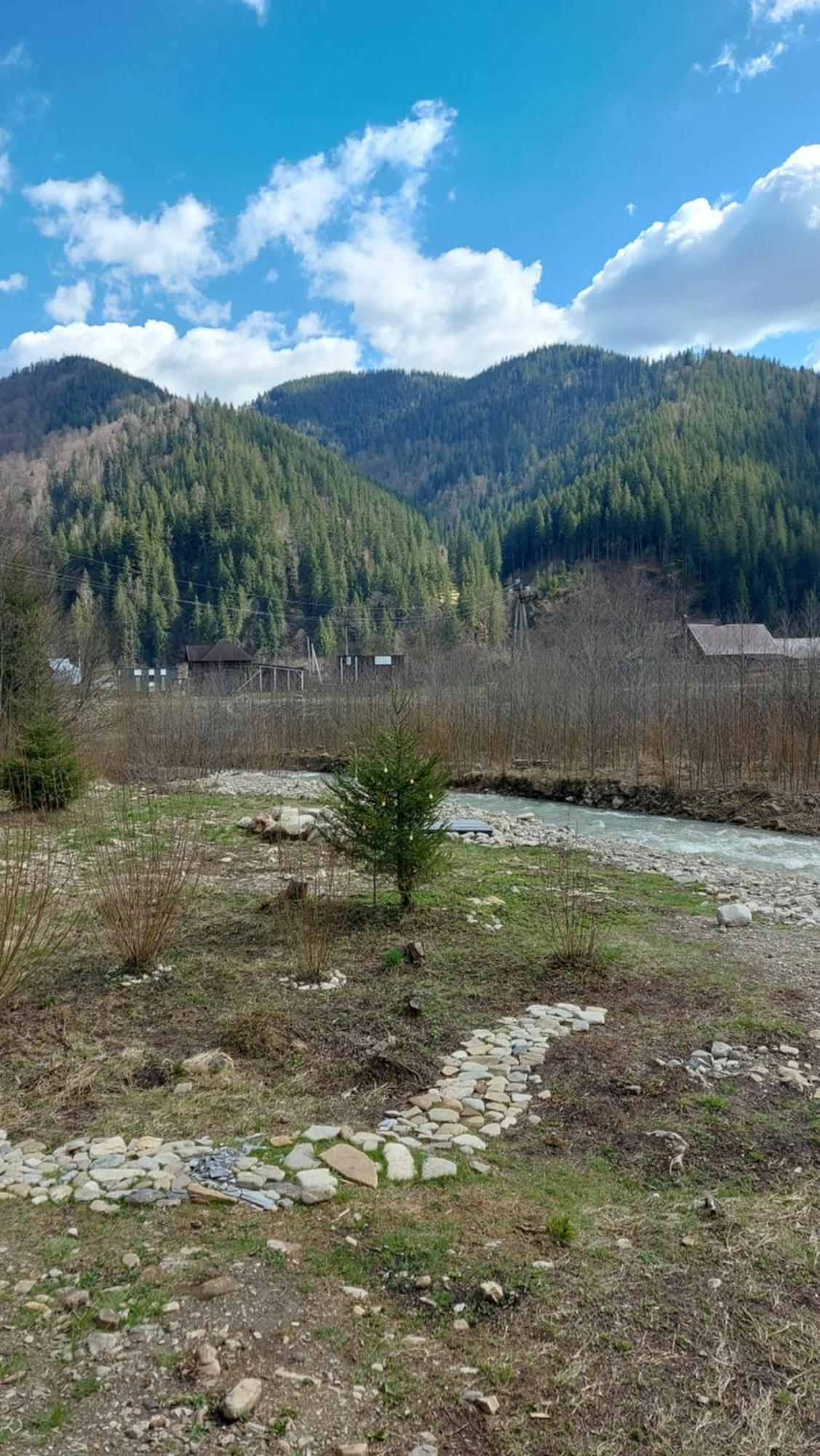 Мріяти Daire Krivorovnya Dış mekan fotoğraf