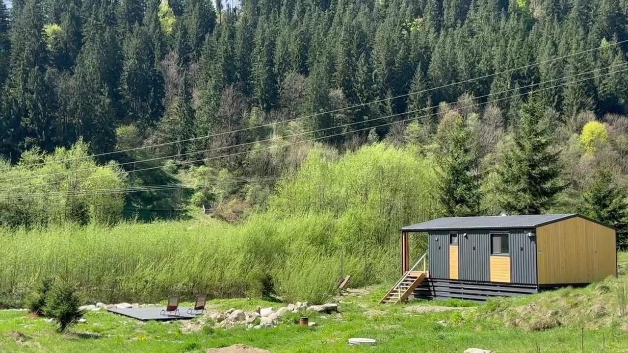 Мріяти Daire Krivorovnya Dış mekan fotoğraf